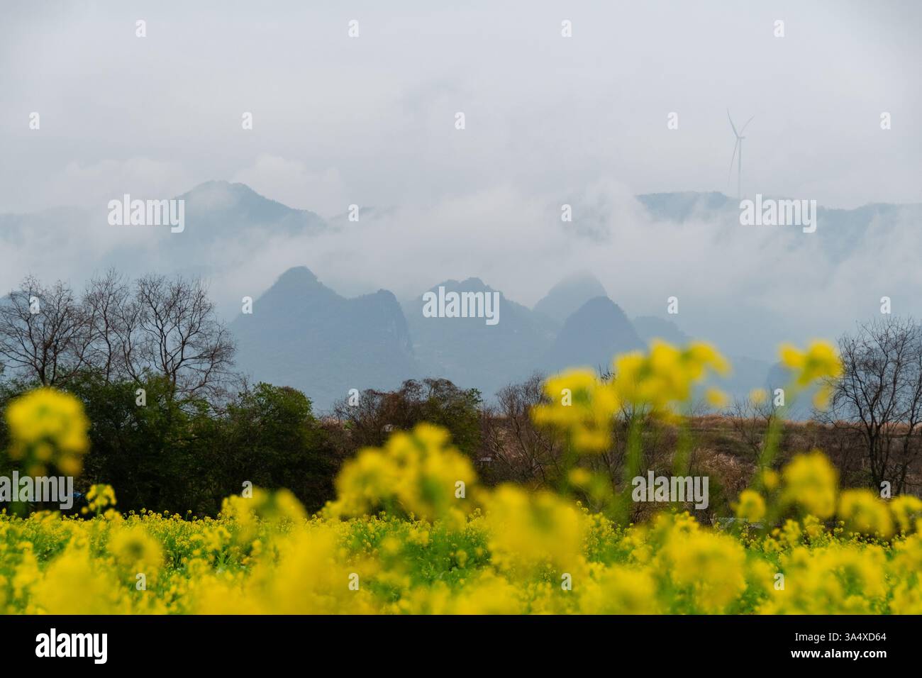 Golden Fields und Rolling Hills: Eine ruhige ländliche Landschaft in Guilin Stockfoto