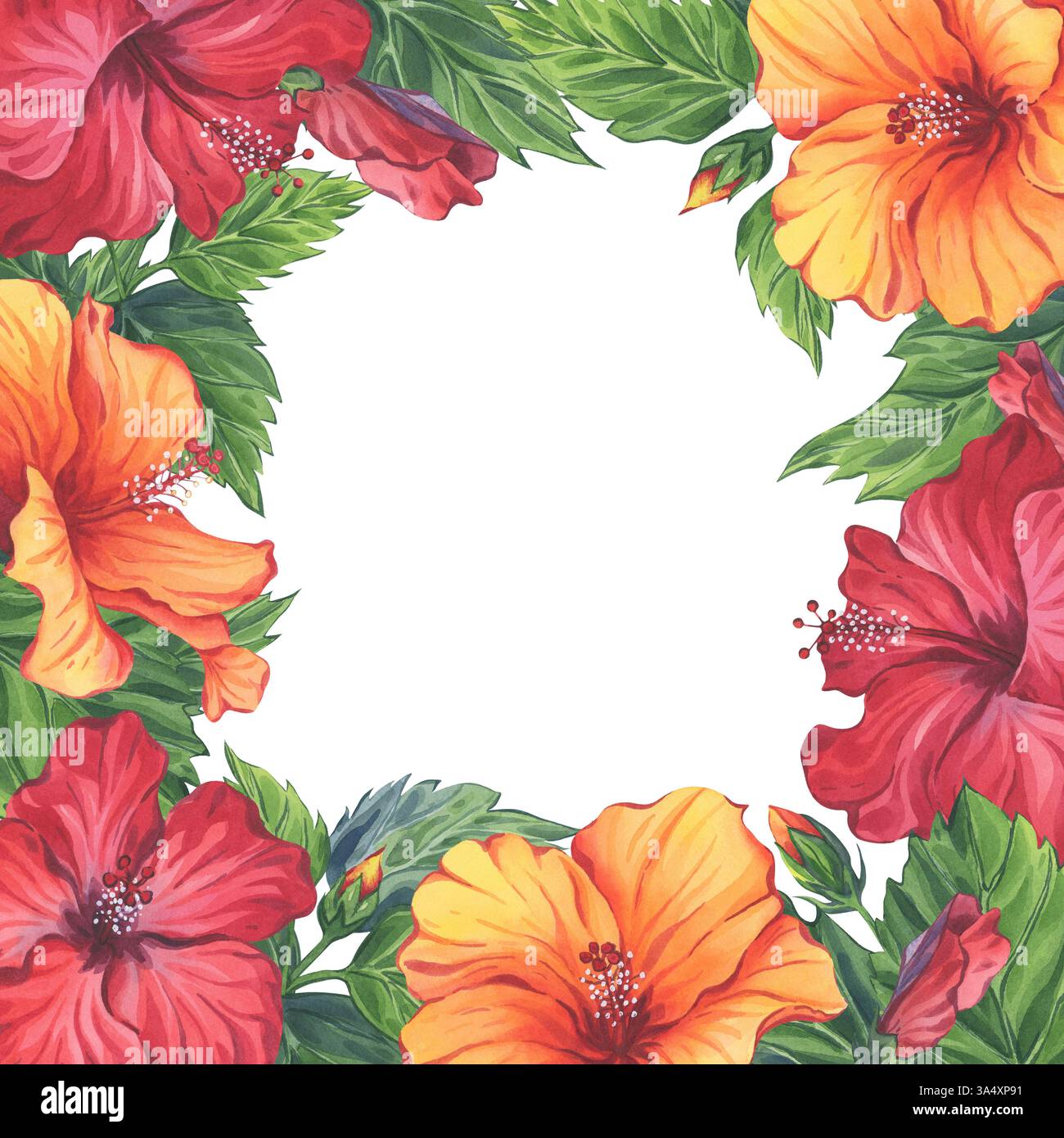 Hibiskus-Blumenrahmen für Karten in Aquarellfarben. Leuchtend rote und orangene Blüten und üppig grüne Blätter. Handgemalte Abbildung Stockfoto