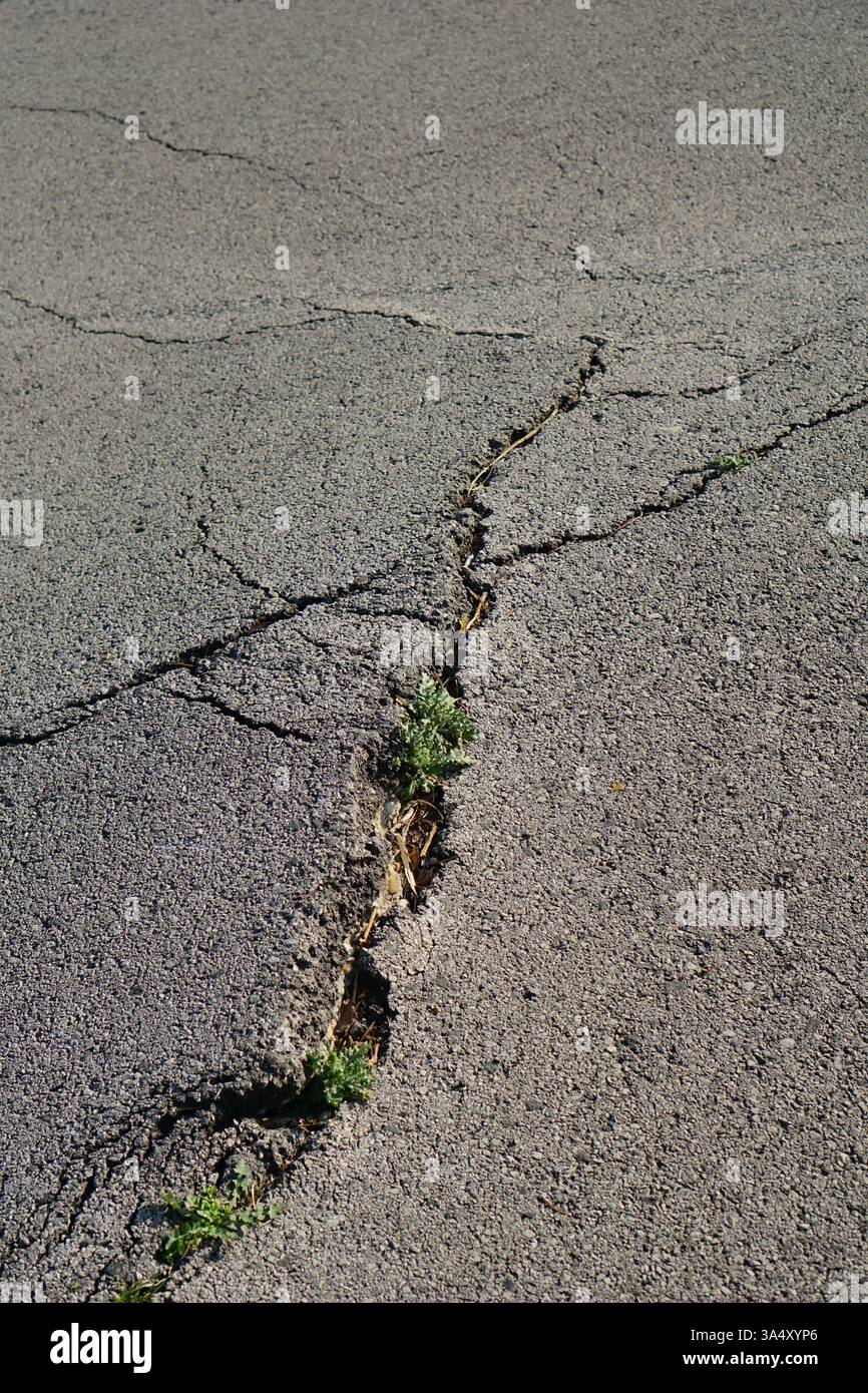 Gerissene Asphaltoberfläche. Beschädigter Straßenbelag. Asphaltverschleiß. Gerissene Asphaltoberfläche. Beschädigter Straßenbelag. Asphaltverschleiß. Stockfoto