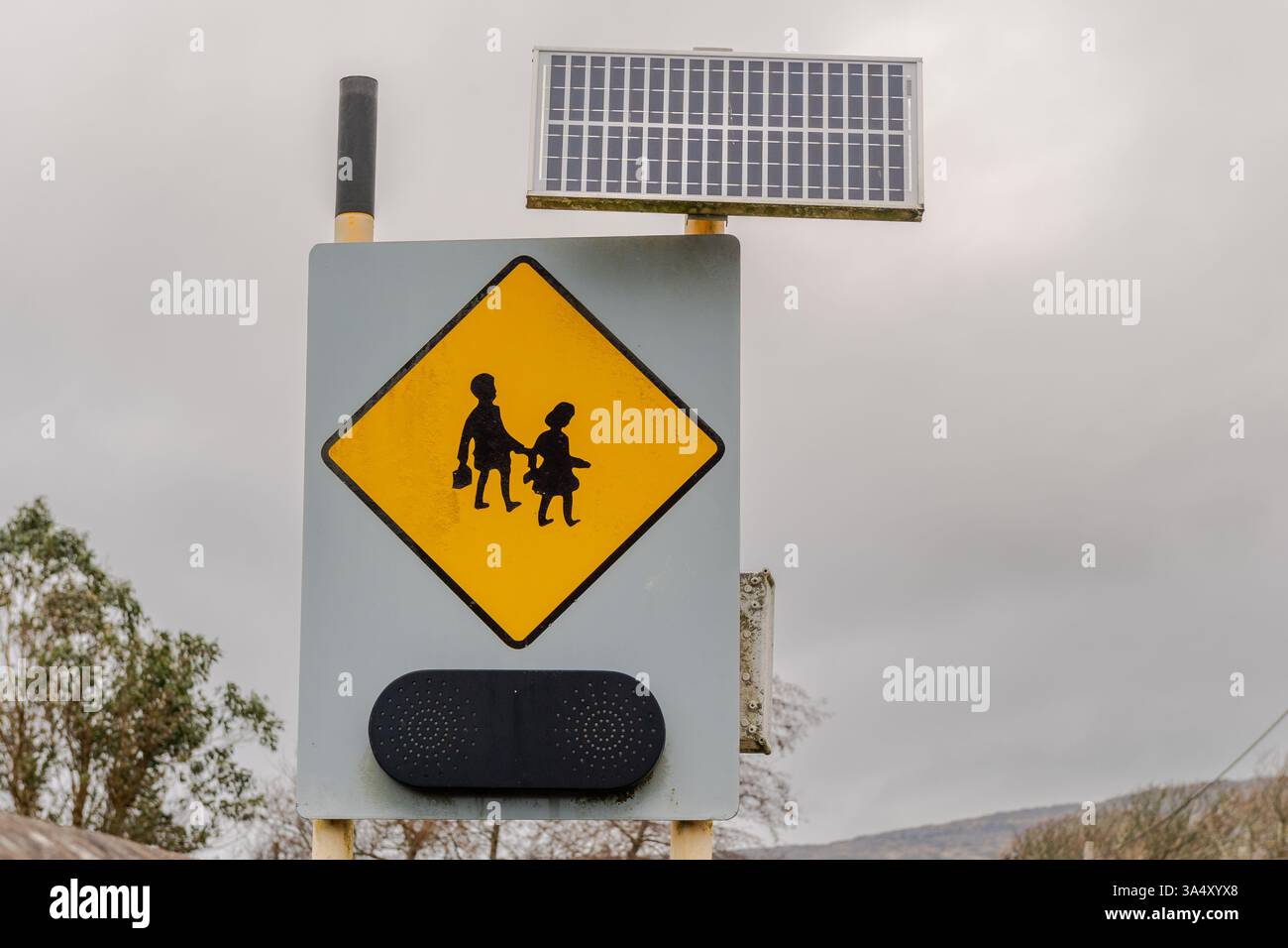 Schulkinder überqueren ein Straßenschild mit Lichtern und Solarpaneel in Irland. Stockfoto