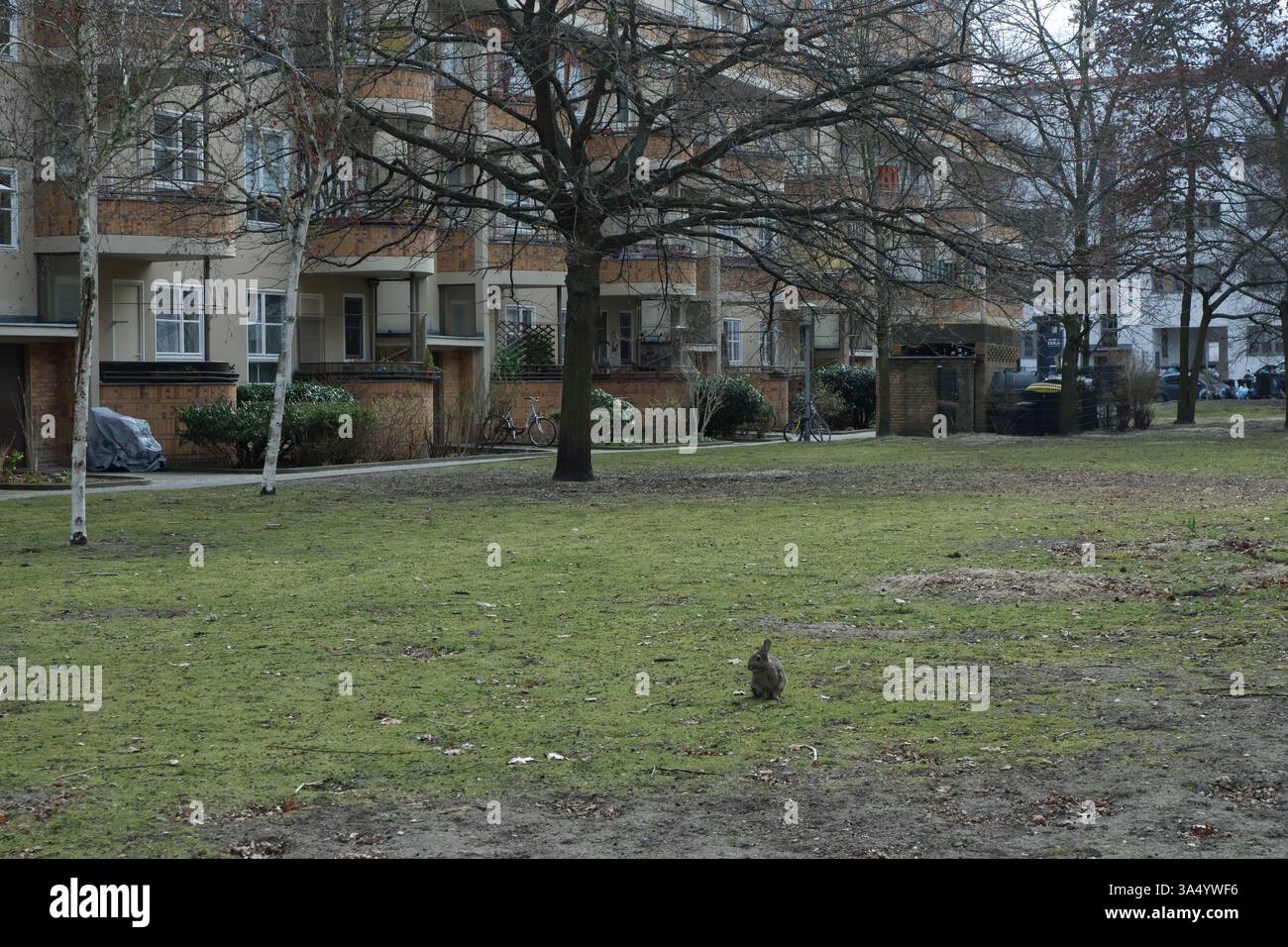 Seimensstadt in Berlin Charlottenburg 2025 umfasst ikonische Sozialwohnungen 1929–34, die von Architekten unter anderem Walter Gropius entworfen wurden. Stockfoto