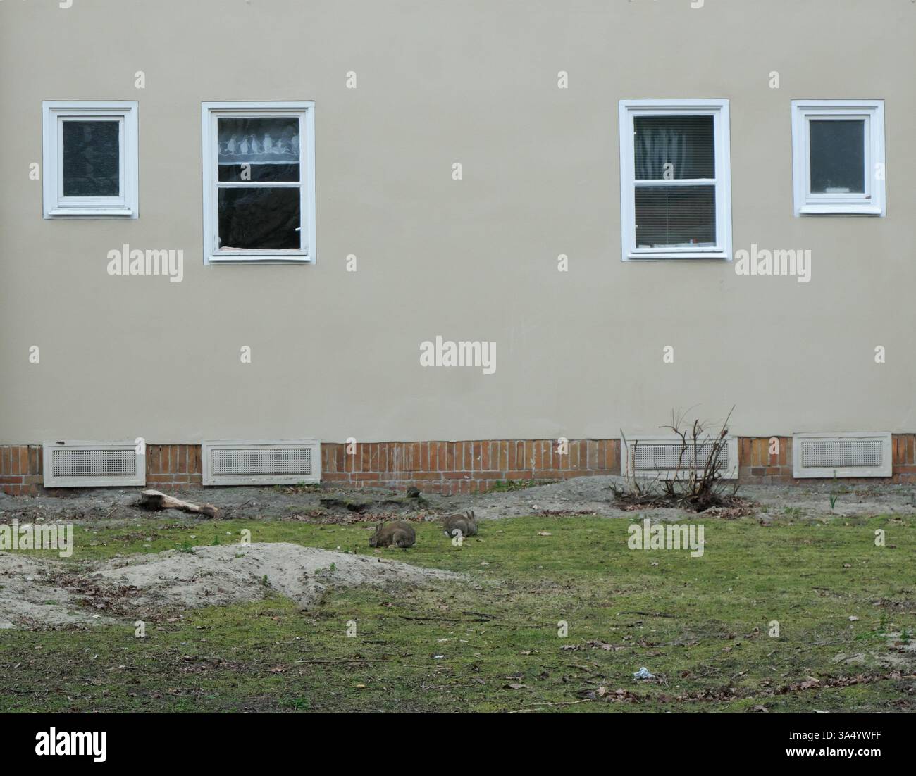 Seimensstadt in Berlin Charlottenburg 2025 umfasst ikonische Sozialwohnungen 1929–34, die von Architekten unter anderem Walter Gropius entworfen wurden. Stockfoto
