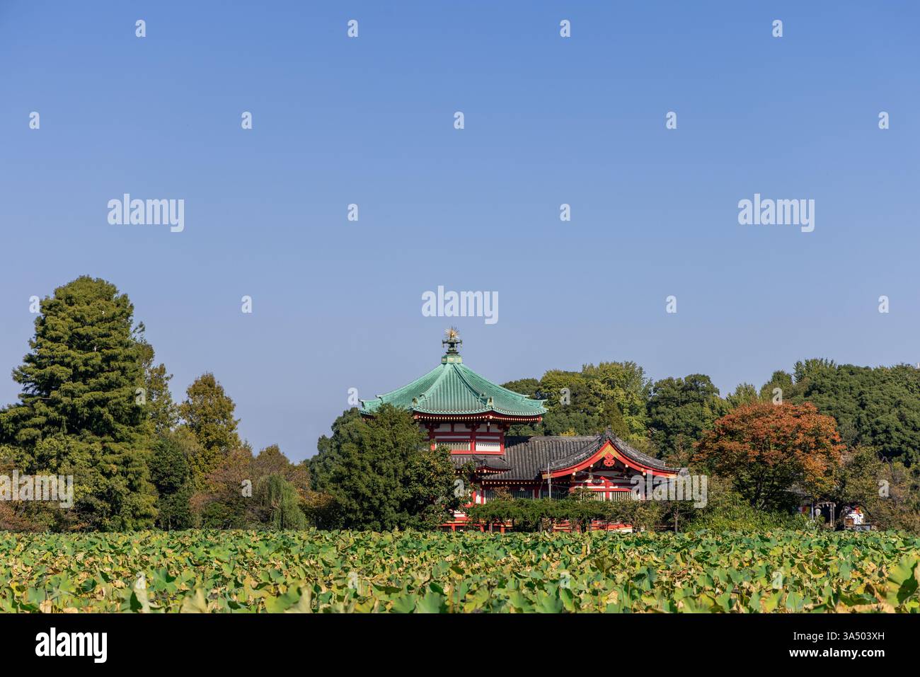 Der buddhistische Benten-Do-Tempel in Tokio steht auf einer Insel im Shinobazu-Teich zwischen Grün- und Lotuspflanzen mit traditioneller Architektur Stockfoto