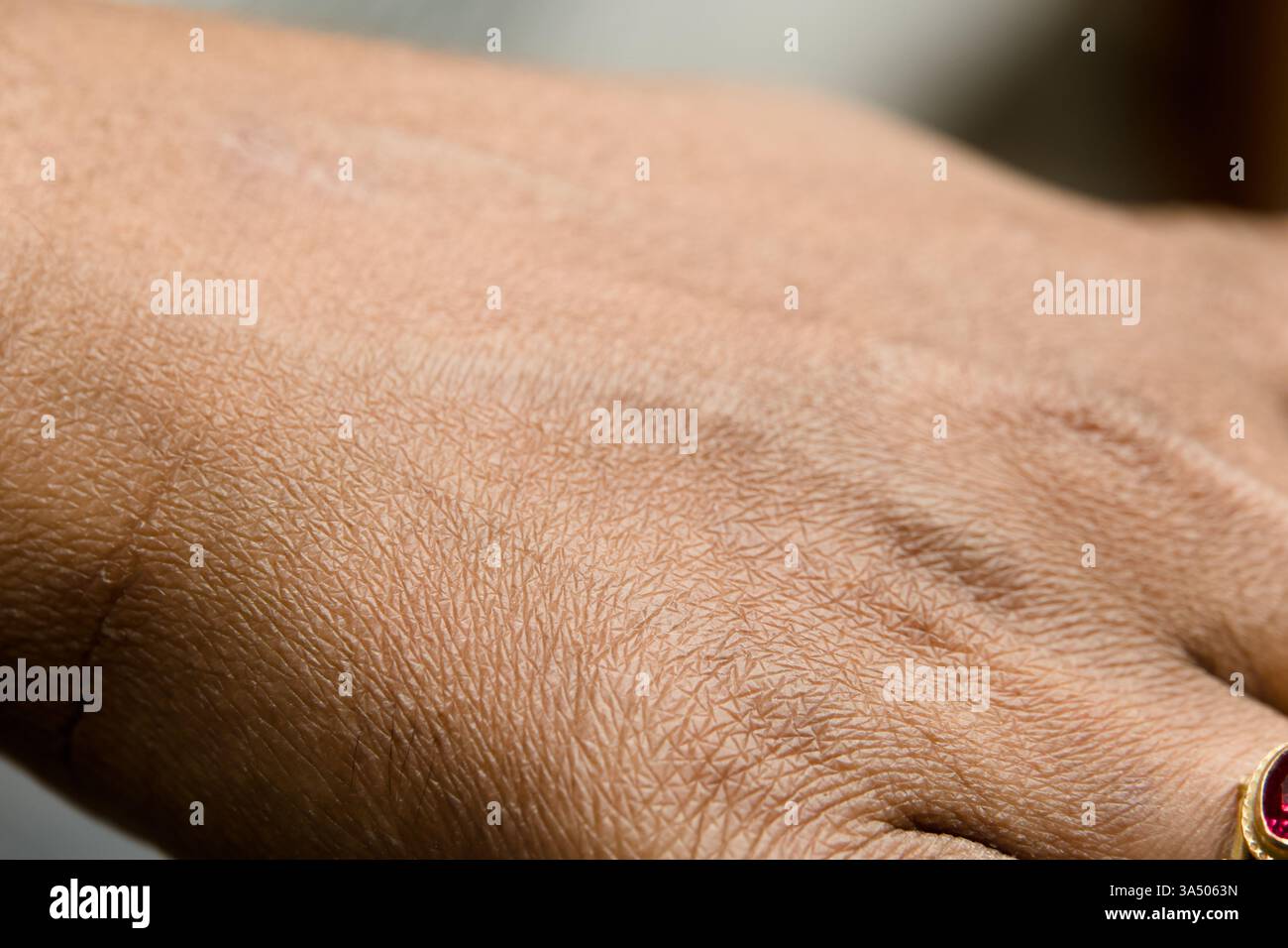 Nahaufnahme einer strukturierten Hand mit Details in Haut und Linien, die Handwerkskunst und Hingabe hervorheben. Stockfoto