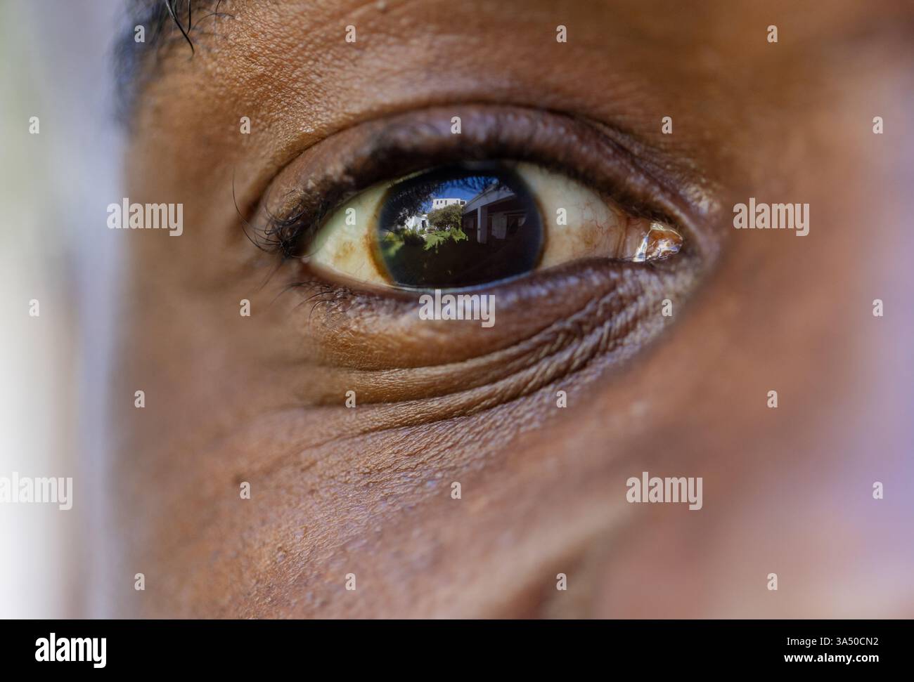 Nahaufnahme des Afroamerikaner-Mannes, das Ferienhaus in hellem Sonnenlicht reflektiert Stockfoto
