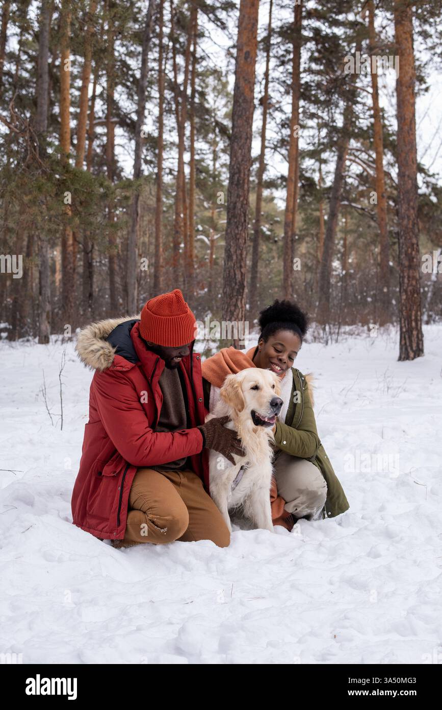Glückliches afrikanisches Paar, das mit seinem Hund in einem Winterwald spaziert. Die Szene fängt einen fröhlichen Moment draußen im Schnee mit einem goldenen Retriever ein, der Wärme und Zweisamkeit vermittelt. Stockfoto
