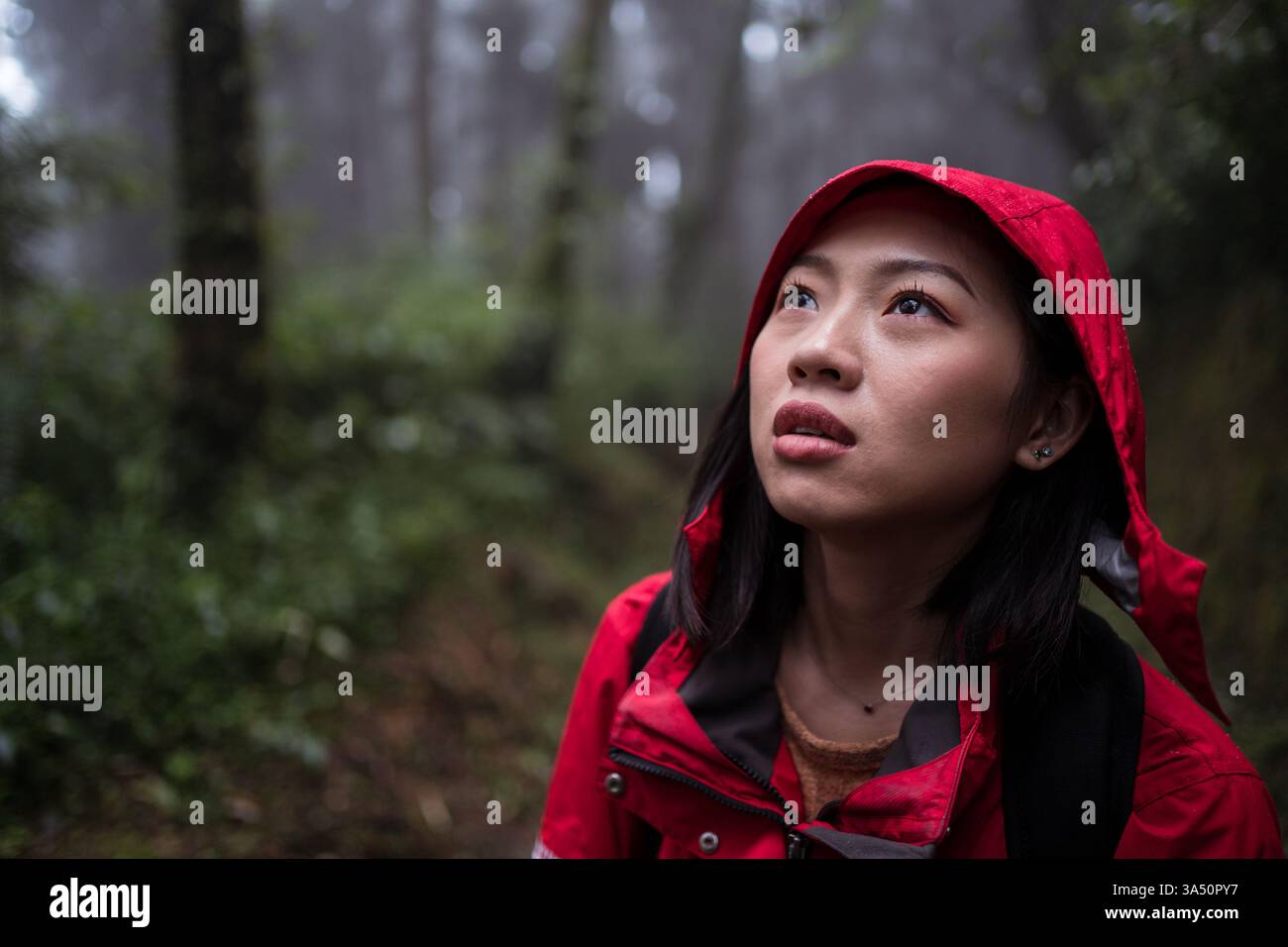 Asiatische Frau im Regenmantel, die an einem regnerischen Tag durch einen üppigen grünen Wald wandert. Die Szene konzentriert sich auf Outdoor-Abenteuer und Naturreisen. Ideal für Reisen, Abenteuer und Naturkampagnen. Stockfoto