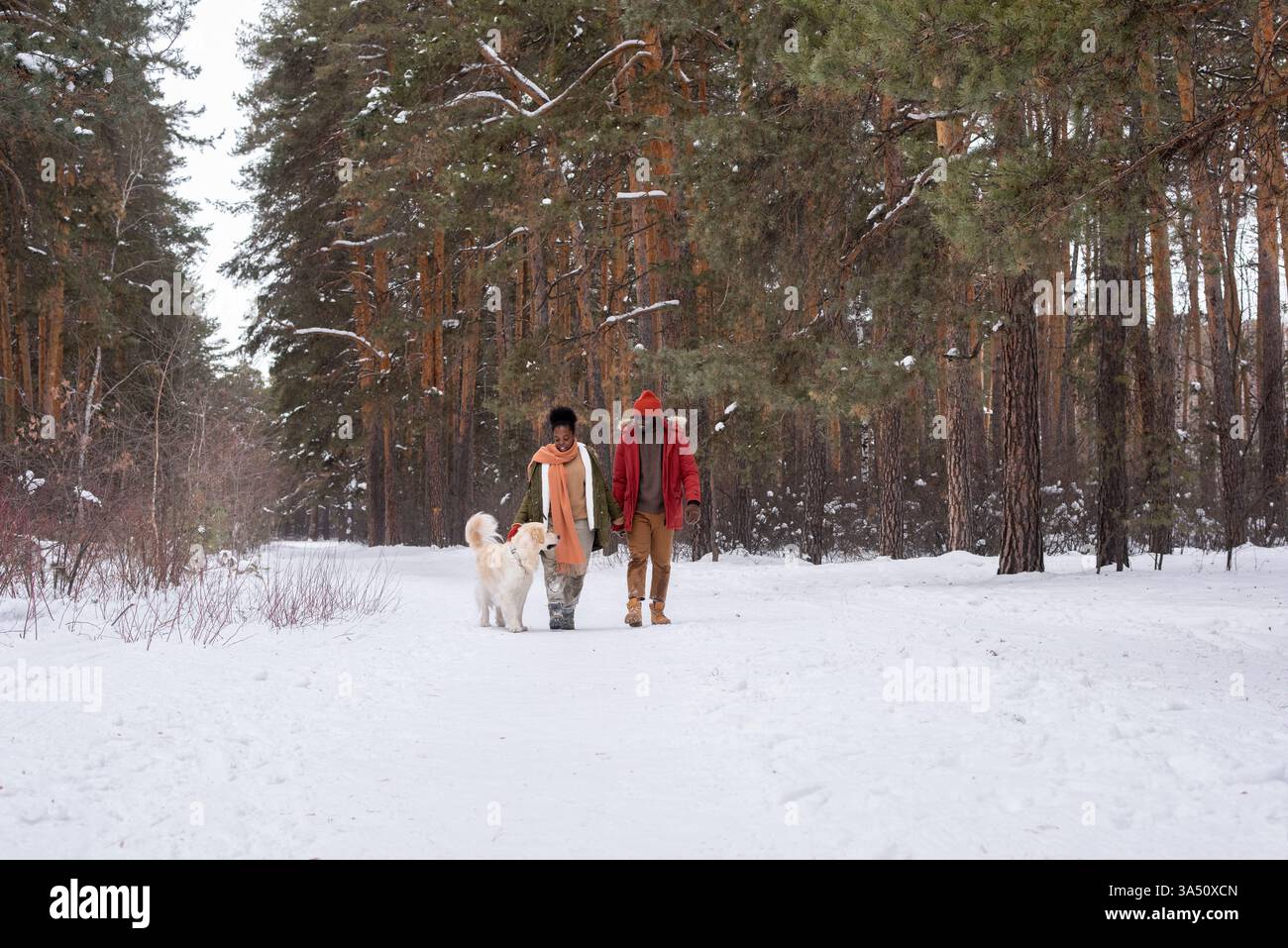 Fröhliches afrikanisches Paar, das mit ihrem Hund durch einen Winterwald spaziert, an einem Wochenendausflug. Die Szene vermittelt Zweisamkeit, Outdoor-Aktivitäten und einen warmen, fröhlichen Lebensstil. Stockfoto