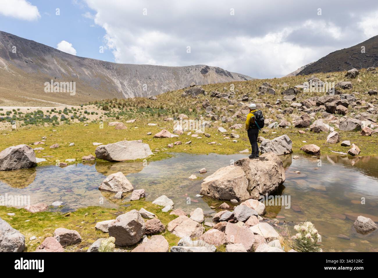 Rückansicht eines nicht erkennbaren männlichen Wanderers, der die ruhige vulkanische Landschaft in Mexiko neben einem kleinen Teich bewundert. Gestochen scharfe Natur- und Reisefotografie für Wanderungen, Entdeckungen und Outdoor-Abenteuerkampagnen. Ideal für Bilder von Reisezielen mit vulkanischen Landschaften und rauer Wildnis. Stockfoto