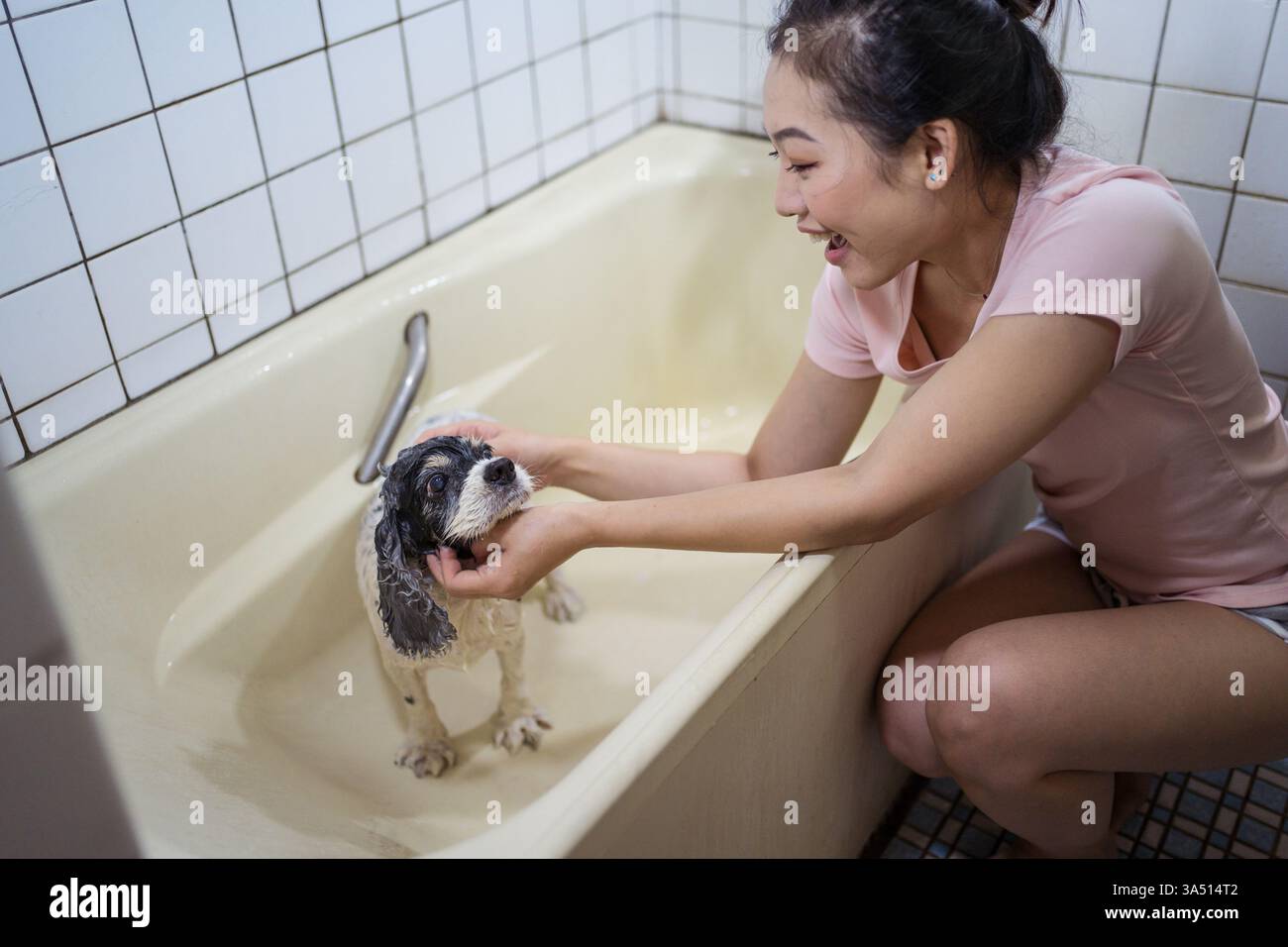 Fröhliche asiatische Frau badet zu Hause einen Cocker Spaniel Welpen. Dieses Lifestyle-Bild zeigt die Verbindung zwischen Besitzer und Haustier, während sie den kleinen Hund im Badezimmer waschen und pflegen. Ideal für Inhalte über die Tierpflege, die Pflege von Haustieren und das Familienleben mit Hunden. Stockfoto