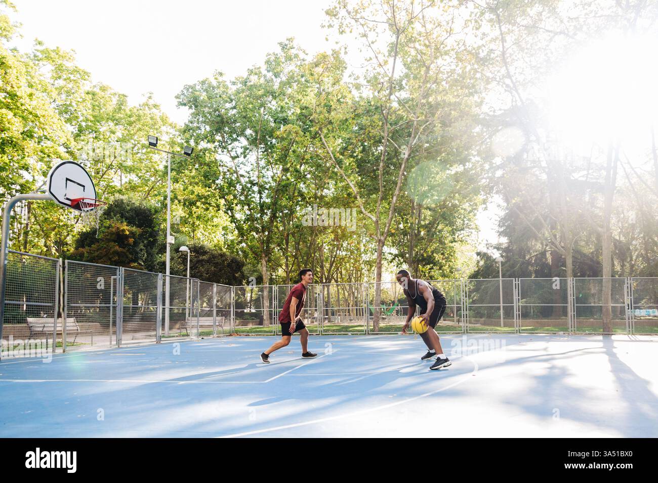 Ein junger Agronomist zeigt einem Kollegen in einem Gewächshaus ein Smartphone. Dieser Moment der Zusammenarbeit unterstützt Teamarbeit, Technologie in der Landwirtschaft und Outdoor-Landwirtschaft. Stockfoto