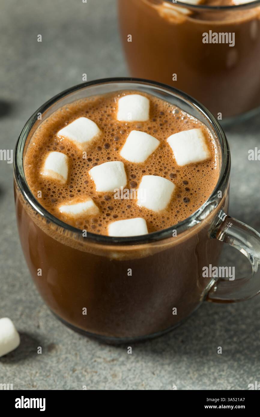 Süße warme hausgemachte heiße Schokolade mit Marshmallows in einer Tasse Stockfoto