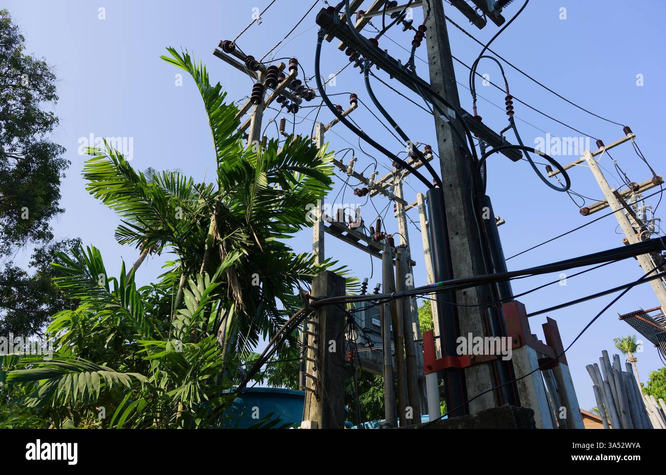 In Railay erhebt sich ein Gewirr von Stromleitungen und Polen über üppigen tropischen Palmen Stockfoto