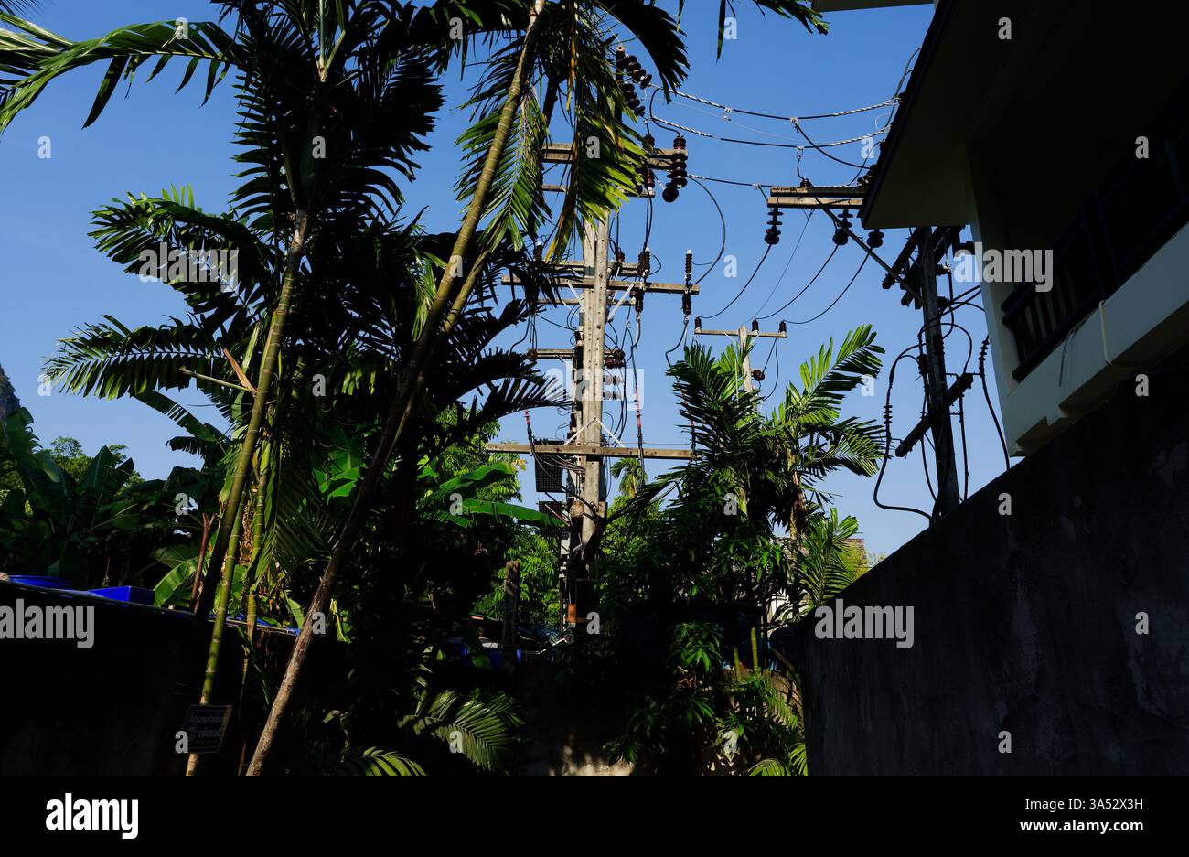 Verwitterte Stromleitungen durchschneiden tropisches Grün in Railay Stockfoto
