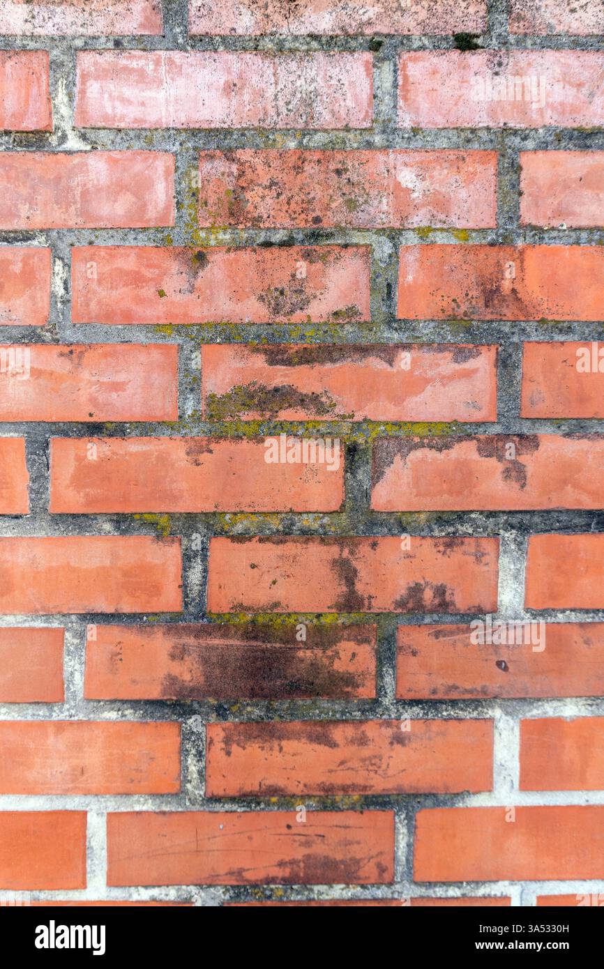 Nahaufnahme einer verwitterten Ziegelmauer mit verschiedenen Rot- und Brauntönen, mit Anklängen von Moos und Schmutz, die den Verlauf der Zeit und des U hervorheben Stockfoto