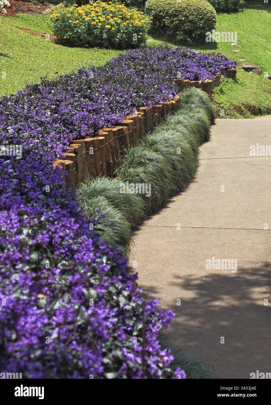 Der schönste Park in Südostasien. Ein Meisterwerk der Landschaftsarchitektur - ein riesiger Park in Thailand Stockfoto
