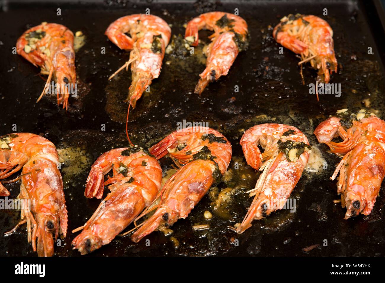 Nahaufnahme von Garnelen, die auf einem heißen, geölten Grill aufgereiht sind. Die goldfarbene Textur und der Dampfaufgang unterstreichen die perfekte Zubereitung, ideal für die Präsentation von Meeresfrüchten Stockfoto