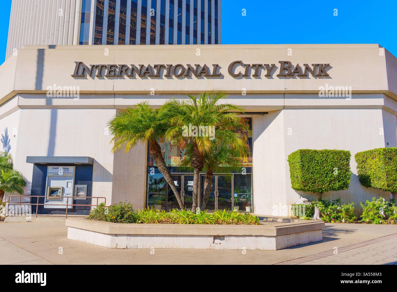 Long Beach, Kalifornien - 10. Januar 2025: Internationales City Bank-Gebäude in Long Beach mit moderner Fassade, üppigen Palmen und klarem Blau Stockfoto