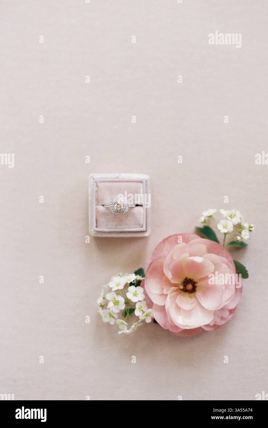 Rosafarbene Ringbox mit Diamant-Verlobungsring und rosafarbener Blume Stockfoto