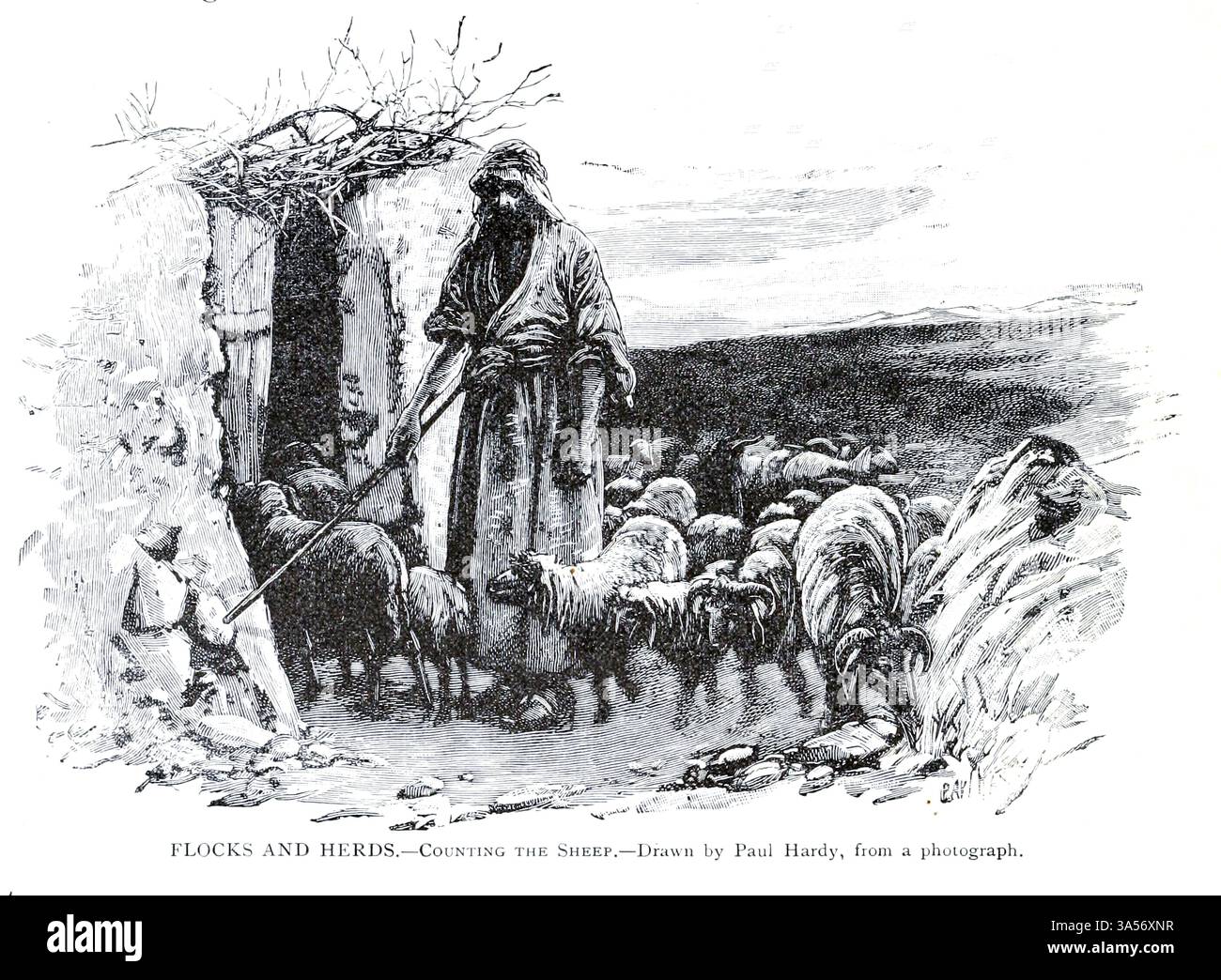 HERDEN UND HERDEN. Die Schafe zählen. Gezeichnet von Paul Hardy, aus Teil III Semites and Hamites BOOK XV THE HEBREWAS. Kapitel CV Evolution of the Eberites from Ridpath's Universal History : ein Bericht über den Ursprung, den primitiven Zustand und die ethnische Entwicklung der großen Rassen der Menschheit und über die wichtigsten Ereignisse in der Evolution und dem Fortschritt des zivilisierten Lebens unter Menschen und Nationen, aus neueren und authentischen Quellen mit einer vorläufigen Untersuchung über die Zeit, den Ort und die Art des Beginns von Ridpath, John Clark, 1840-1900 Band 5 1897 Stockfoto