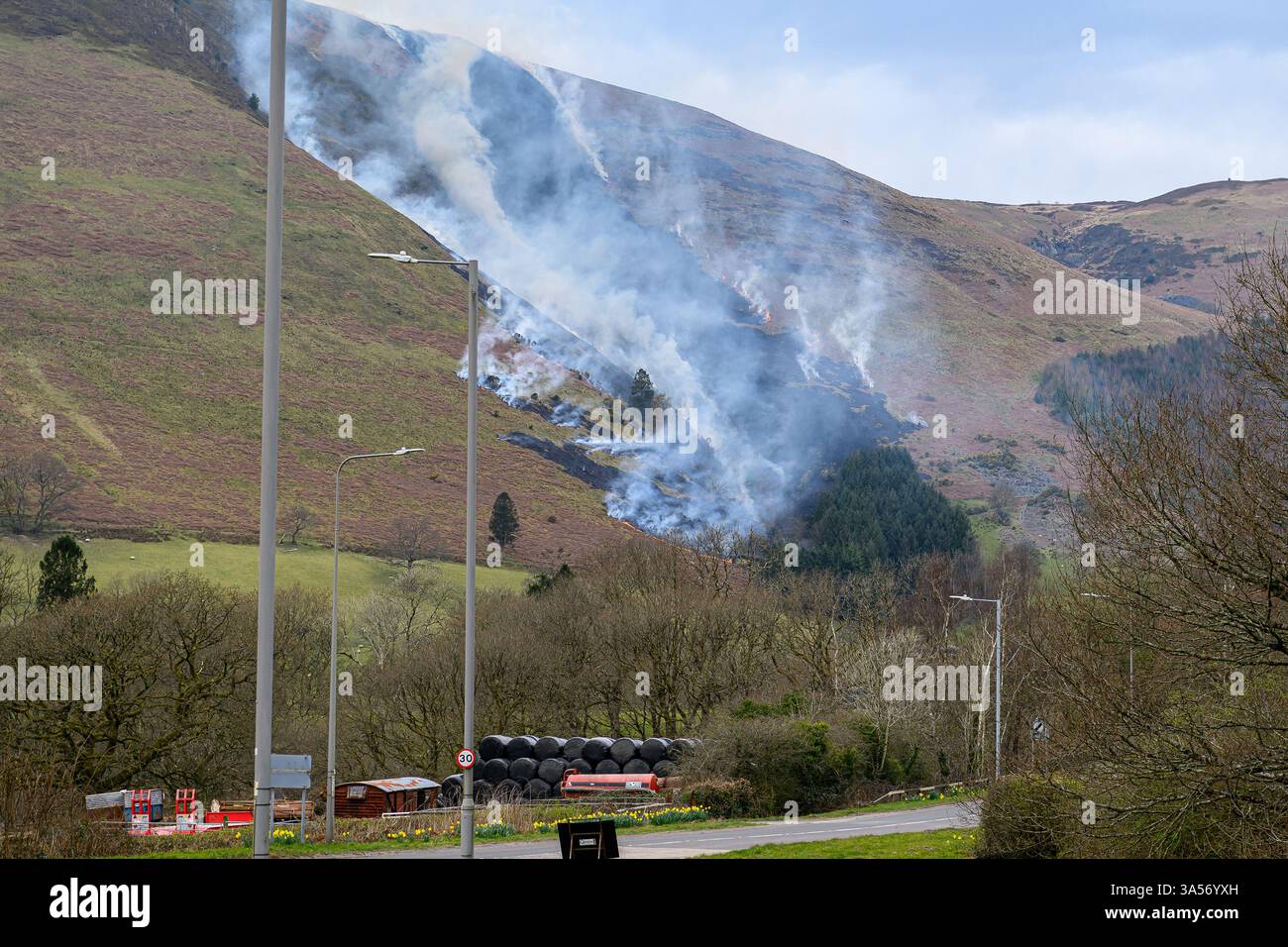 Grass-Feuer Stockfoto