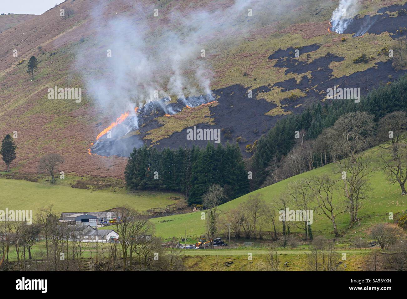 Grass-Feuer Stockfoto