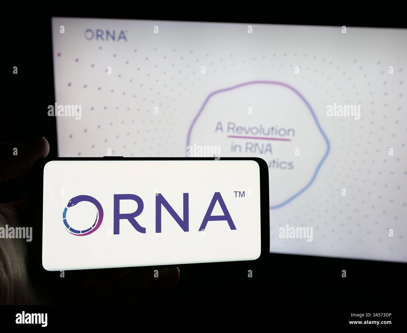 Stuttgart, Deutschland - 15.11.2024: Person mit Mobiltelefon mit Logo des US-amerikanischen Biotechnologie-Unternehmens Orna Therapeutics Inc. Auf dem Bildschirm Stockfoto