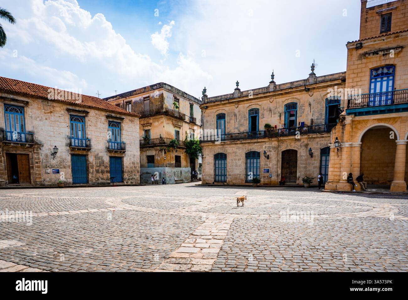 Plaza de la Catedral in Havanna, mit seiner ikonischen Kathedrale und Kolonialgebäuden, die das reiche kulturelle Erbe Kubas und die lebhafte Atmosphäre widerspiegeln Stockfoto