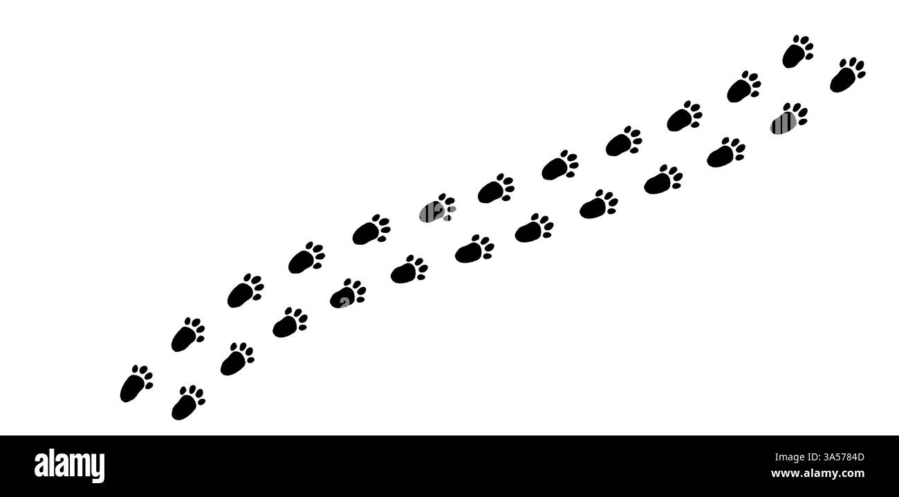 Hasenspuren bilden einen skurrilen Weg über den weichen, unberührten Schnee an einem ruhigen Wintermorgen in einer ruhigen Waldlichtung Stock Vektor