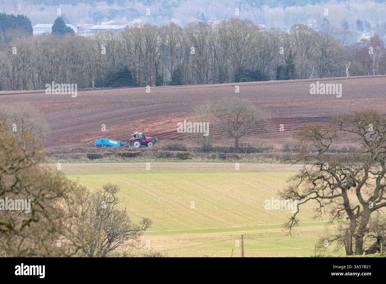 Ein landwirtschaftlicher Traktor in Großbritannien pflügt Felder in der fernen Landschaft im frühen Frühling mit blattlosen Bäumen im Hintergrund und im Vordergrund. Stockfoto