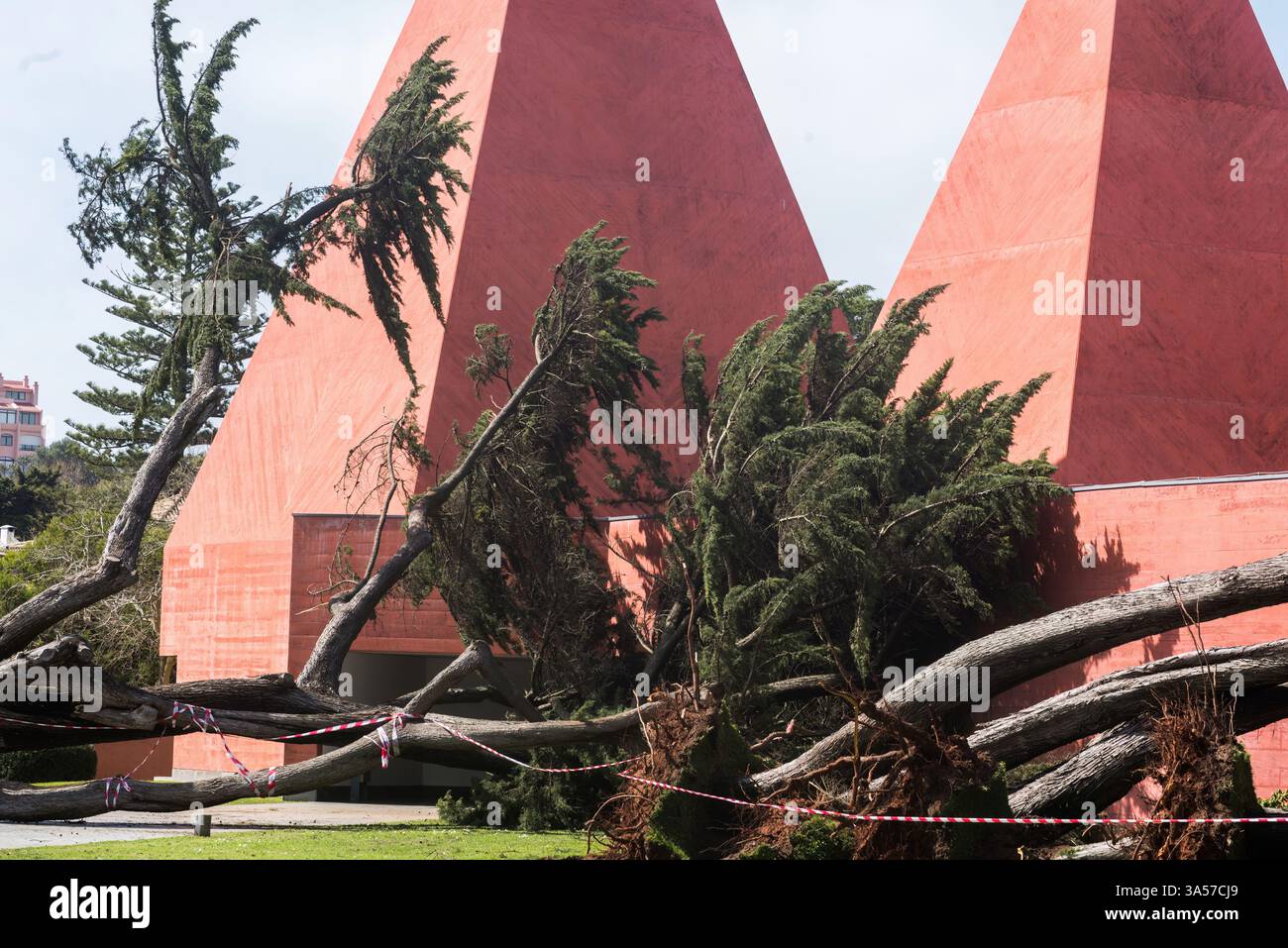 Umgefallene Bäume vor dem Casa Paulo Rego Museum in Cascais, Portugal Stockfoto