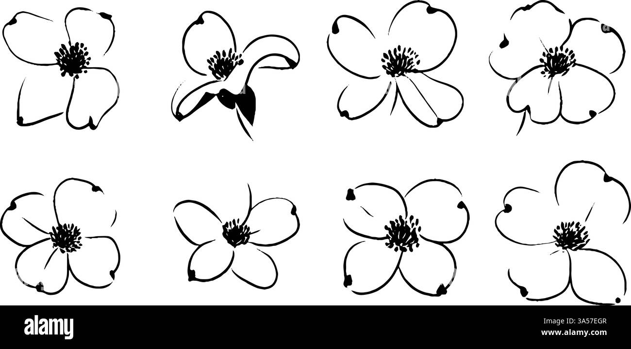 Eine Sammlung von acht stilisierten schwarz-weißen Blumenillustrationen mit verschiedenen Blumenmustern mit zarten Blütenblättern und komplizierten Details. Stock Vektor