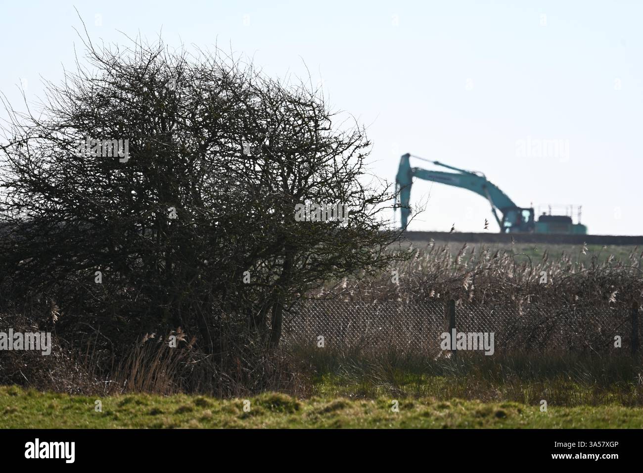 jcb Bagger auf dem Land Stockfoto