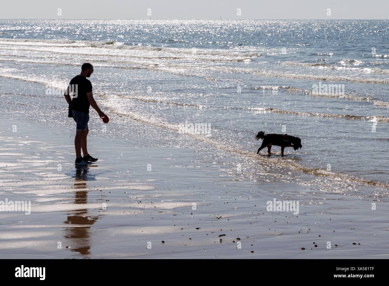 Mann mit Hund am Strand in Ostend, Belgien Stockfoto