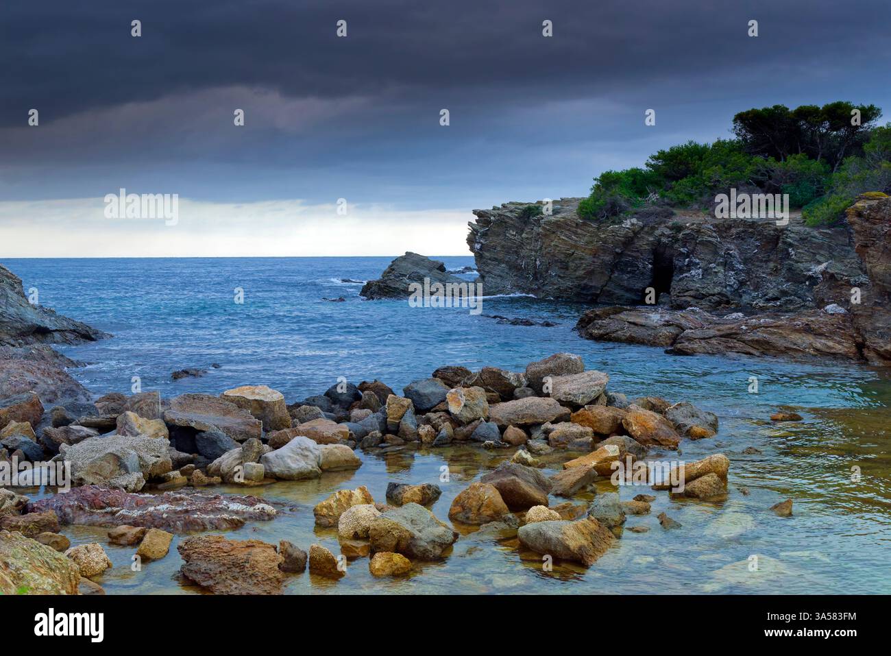 Lumières d'hiver sur l'Ile du Gaou au Brusc: Escapade sauvage entre mer et pinède à Six-Fours (VAR) Stockfoto