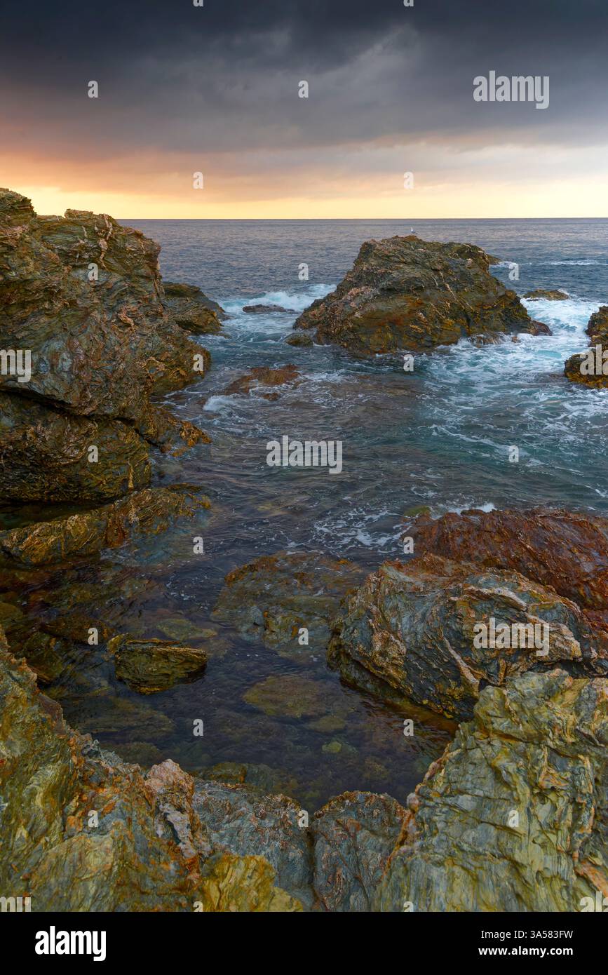 Lumières d'hiver sur l'Ile du Gaou au Brusc: Escapade sauvage entre mer et pinède à Six-Fours (VAR) Stockfoto