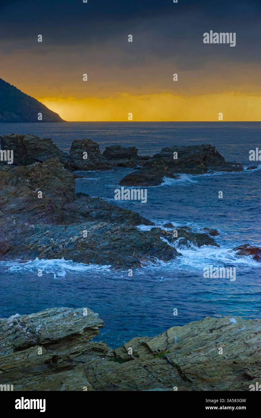 Lumières d'hiver sur l'Ile du Gaou au Brusc: Escapade sauvage entre mer et pinède à Six-Fours (VAR) Stockfoto