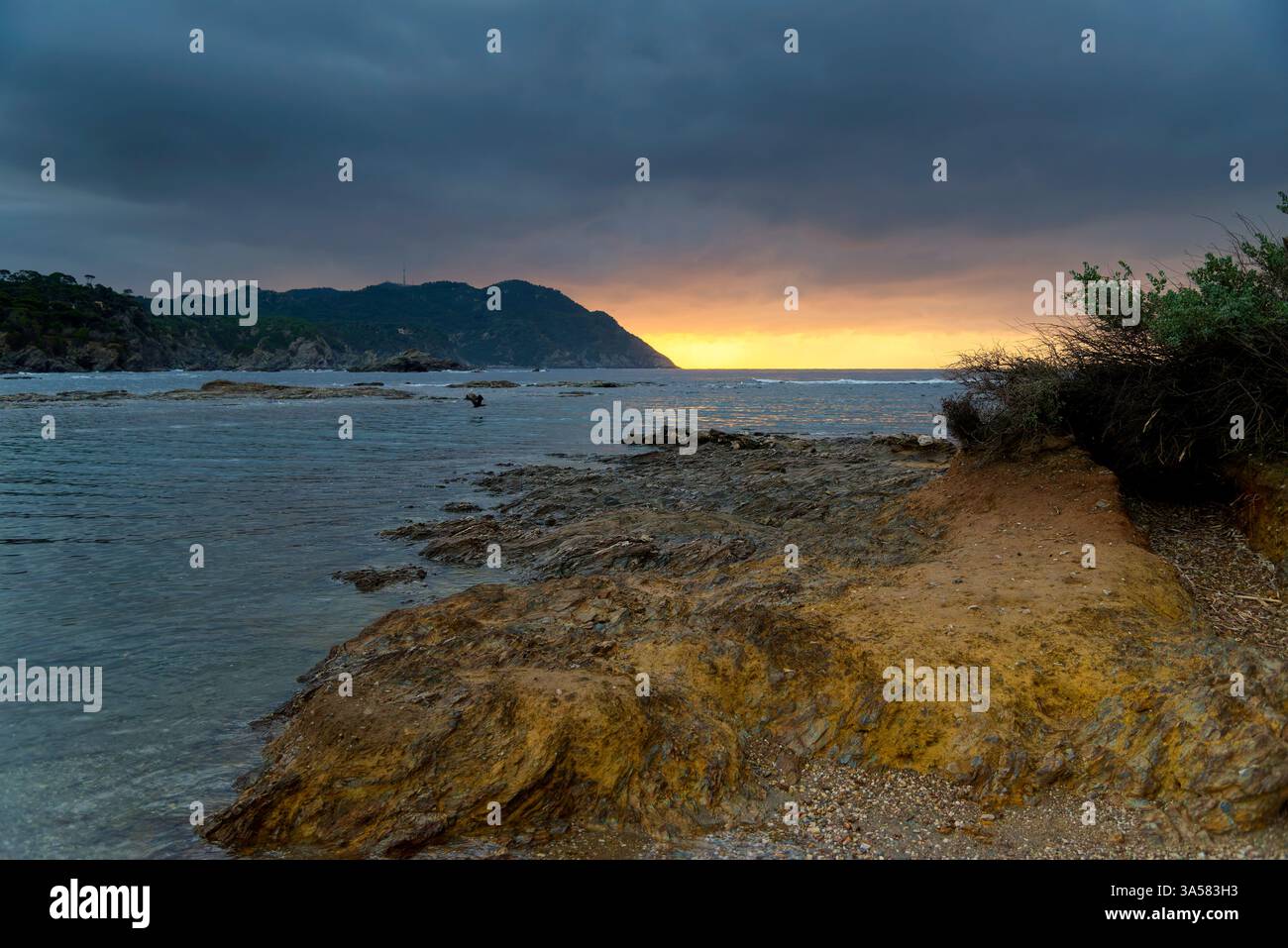 Lumières d'hiver sur l'Ile du Gaou au Brusc: Escapade sauvage entre mer et pinède à Six-Fours (VAR) Stockfoto