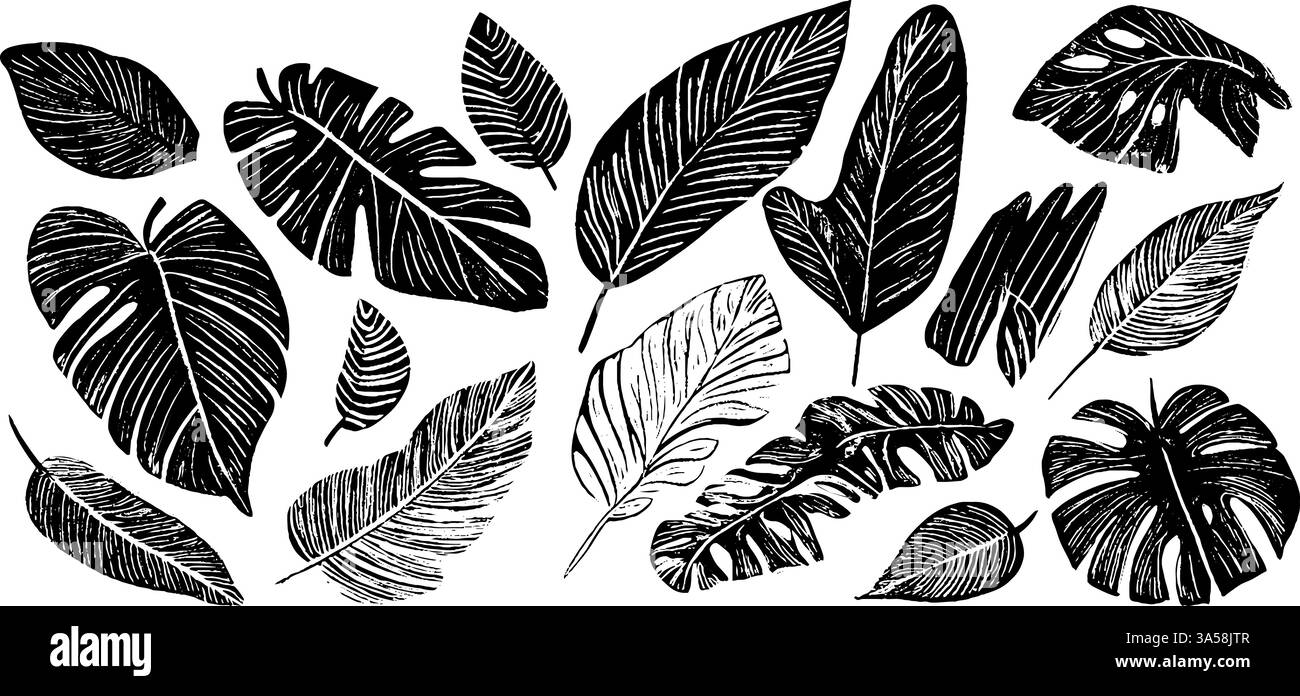 Handgezeichnete Schwarz-weiß-Blätter-Kollektion Stock Vektor
