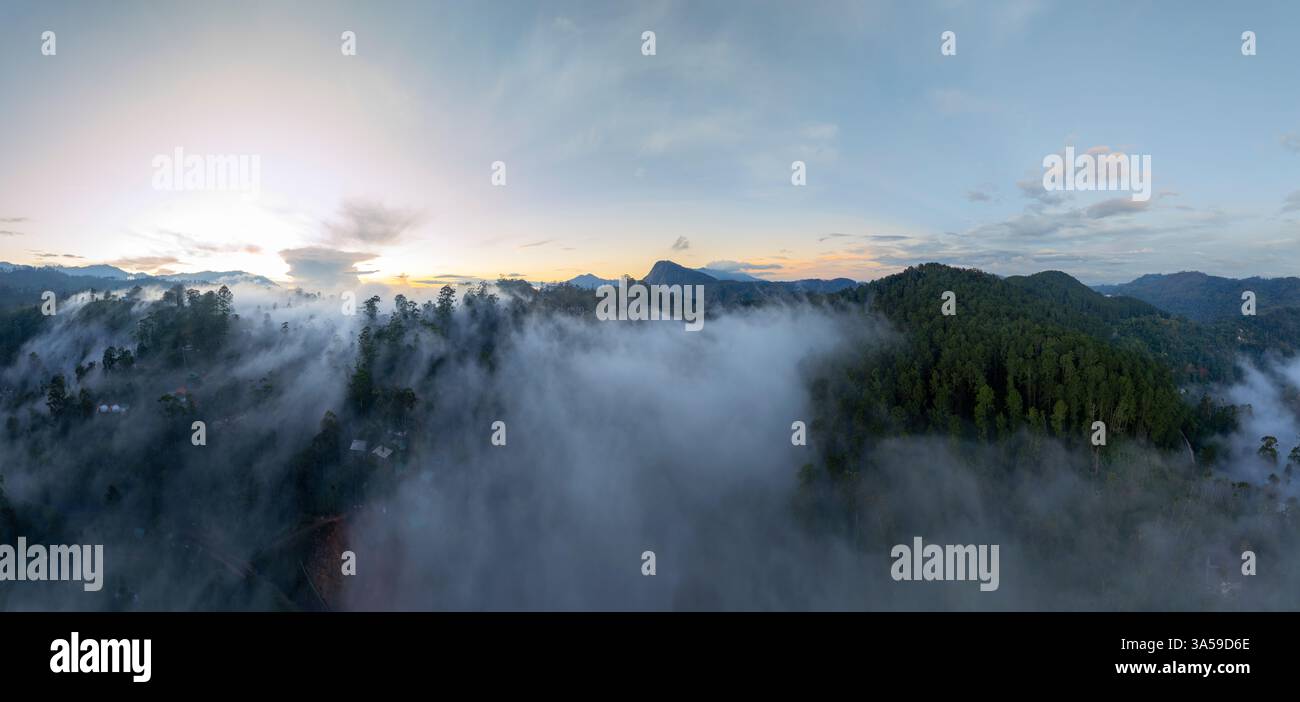 Eine atemberaubende nebelige Waldlandschaft in der Nähe von Ella, Sri Lanka, mit üppigen grünen Hügeln, dichten tropischen Bäumen und rollendem Nebel, der eine mystische Atmosphäre schafft Stockfoto