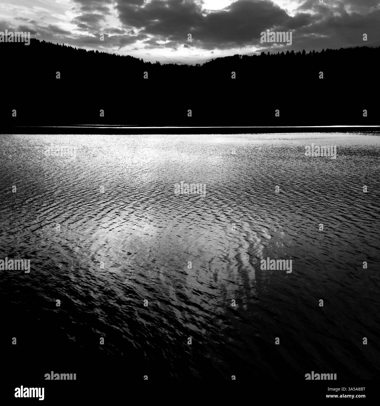 Ruhige Wasseroberfläche, die Schatten von Bäumen während der Dämmerung in der Nähe eines friedlichen Sees reflektiert. lake Chambon. Puy de Dome. Auvergne. Frankreich Stockfoto