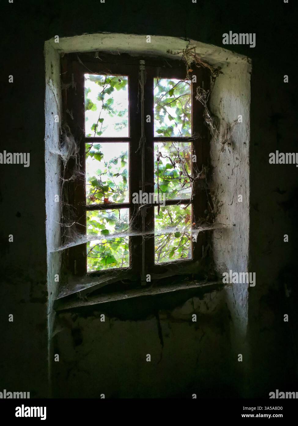 Blick auf das helle Laub durch ein schmutziges Fenster in einem alten Steinhaus tagsüber - Smartphone-aufgenommenes Stockfoto