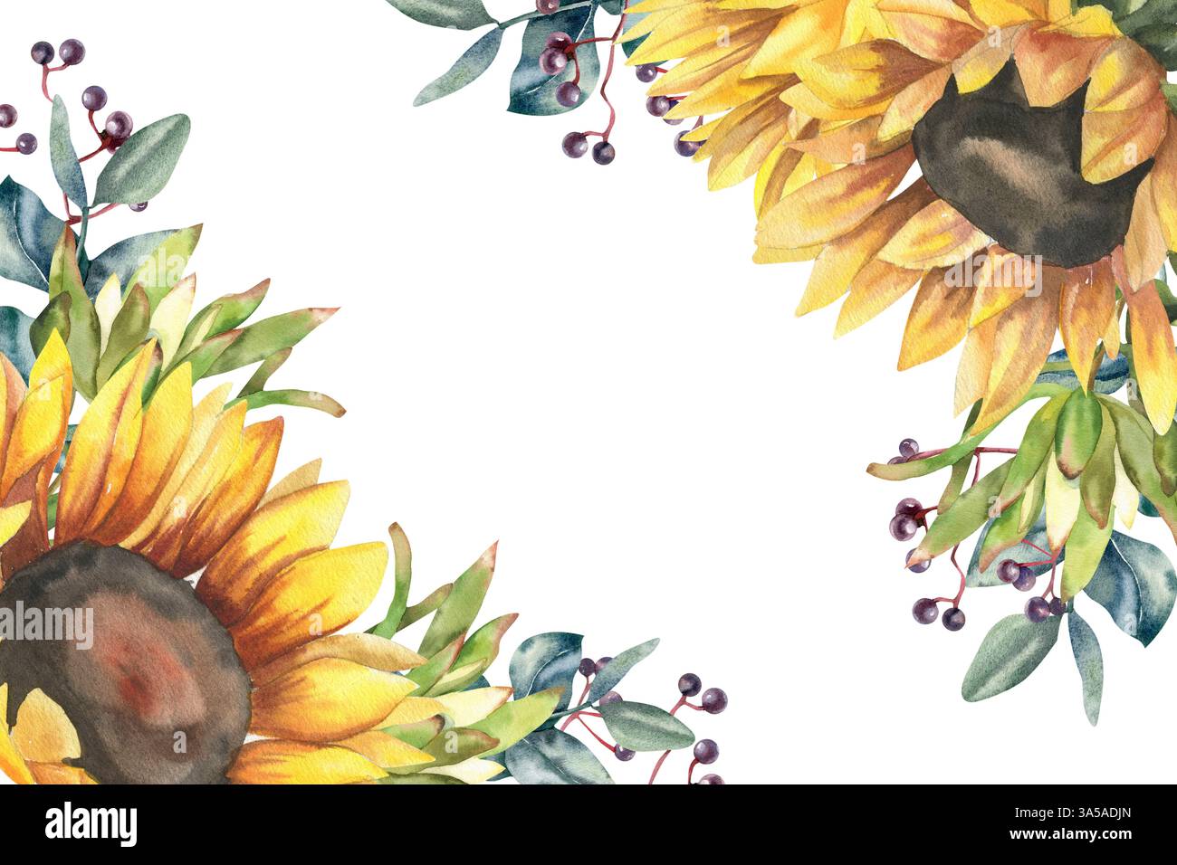 Herbstblumenvorlage mit gelben Sonnenblumen, Protea und Herbstbeeren Aquarellillustration. Handgezeichneter Rahmen für die Erntezeit mit Blüte und Leaf Stockfoto