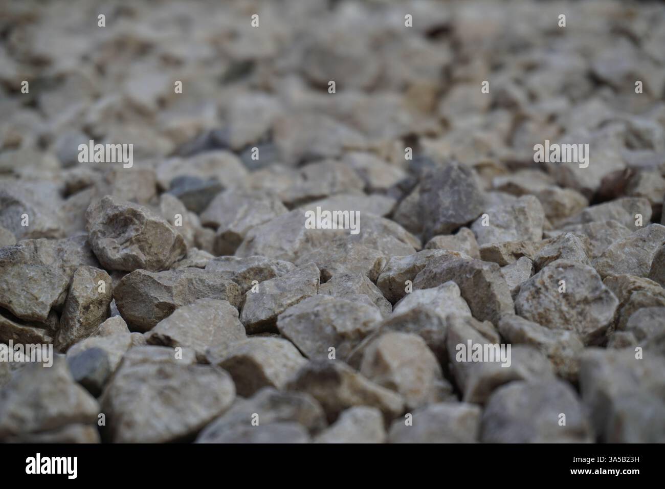 Kleine Steine in Hellbeige und weiß in Nahaufnahme, Kies, robuste Hintergrundstruktur. Unregelmäßig geformte, helle Steine Stockfoto
