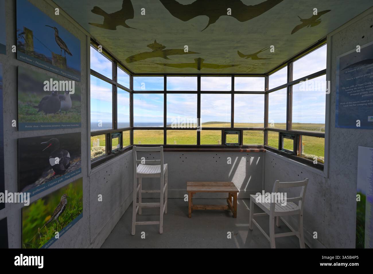 Vogelhütte RSPB North Hill Papa Westray Orkney Stockfoto