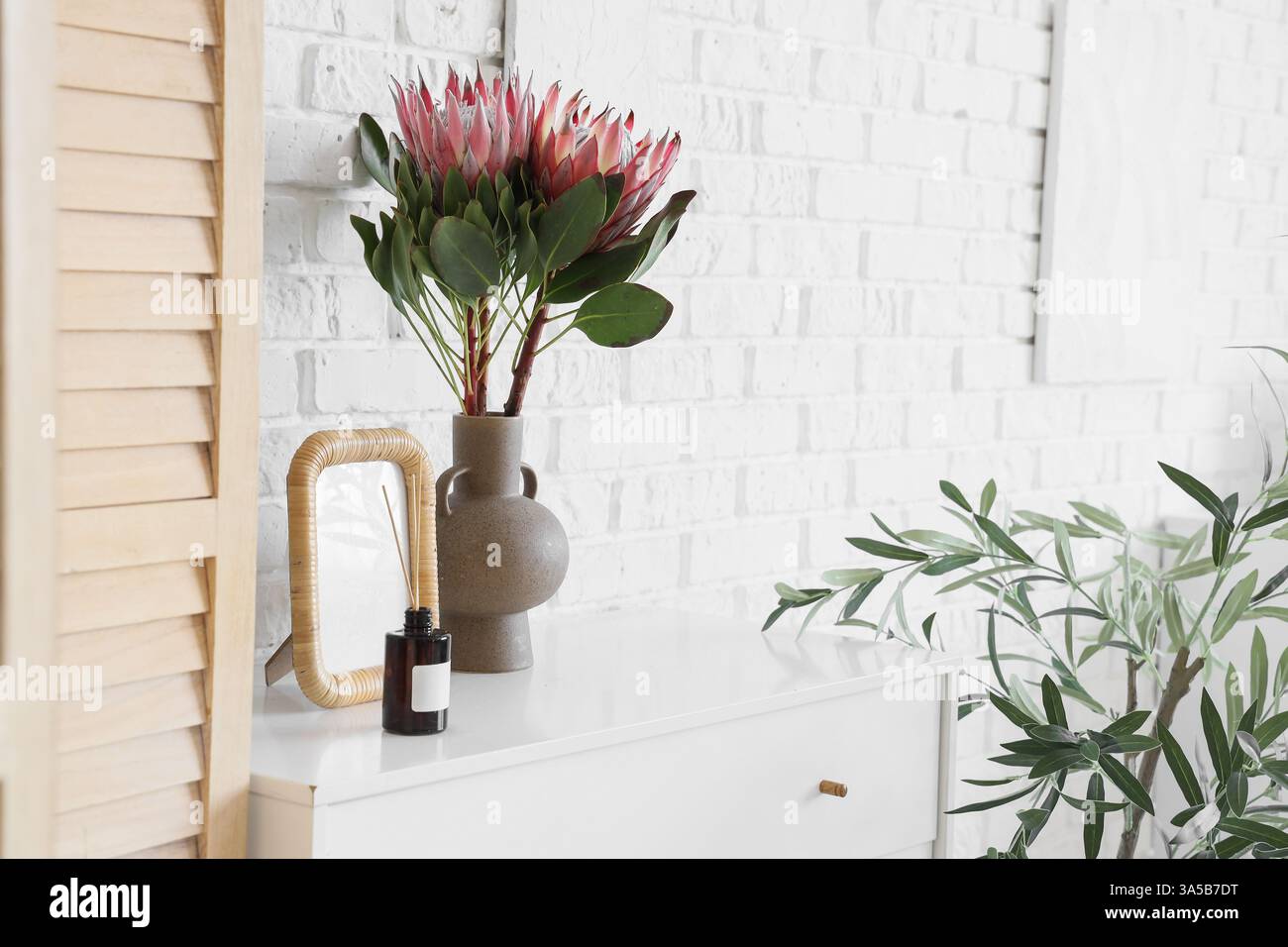 Vase mit Protea-Blüten, Rahmen und Schilfdiffusor auf Kommode im Wohnzimmer Stockfoto