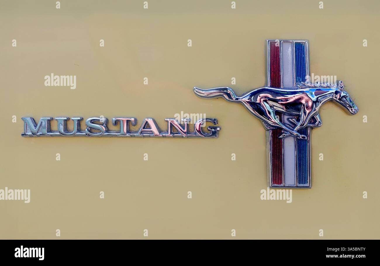 Ford, Mustang, Abzeichen, Logo, Oldtimer Stockfoto