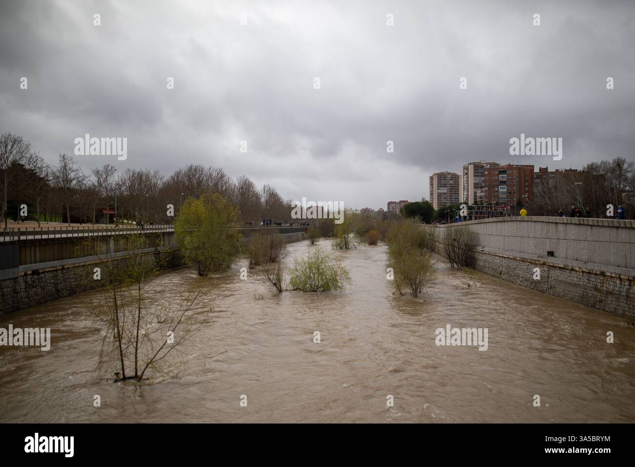 Madrid, Spanien. März 2025. Panoramablick auf den Fluss Manzanares in Madrid. Nach der Durchquerung des Sturms Martinho durch Spanien brach der Fluss Manzanares Rekorde und erhöhte seine Flussrate um das 15-fache. Das spanische Meteorologische Institut prognostiziert Windgeschwindigkeiten von bis zu 140 km/h, was in einigen Städten entlang des Madrider Ufers eine vorbeugende Evakuierung erforderlich macht. Quelle: D. Canales Carvajal/Alamy Live News Stockfoto