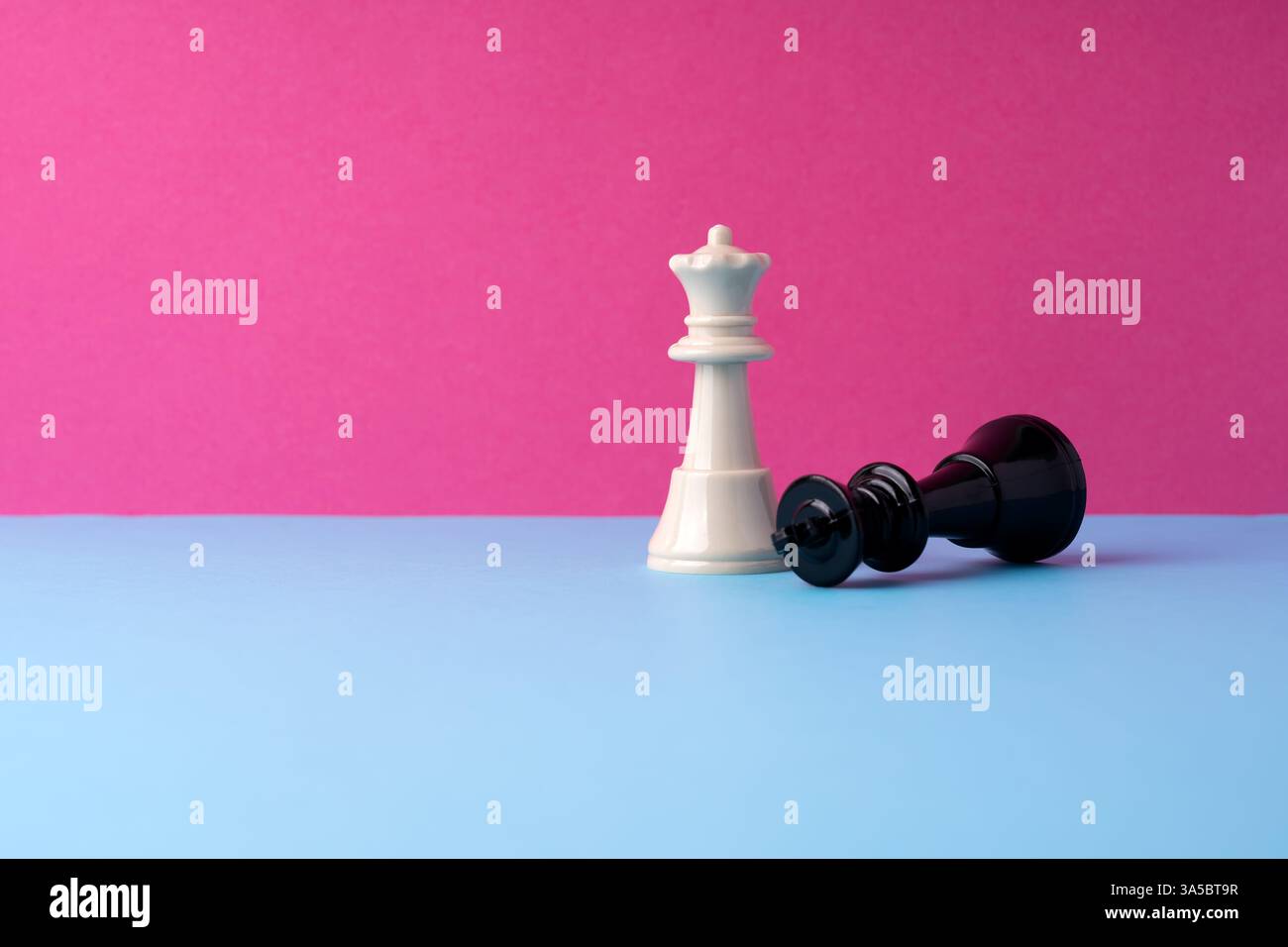 Schwarzer Königskarz von einem Queen-Stück auf rosa und blauem Hintergrund Stockfoto