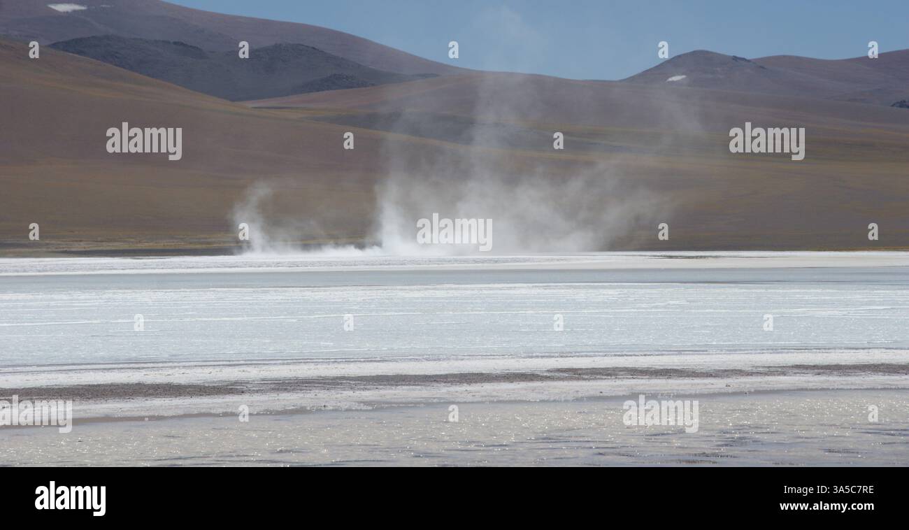 Ein Geysir bricht aus der Laguna Brava in den hohen Anden Argentiniens aus und erzeugt eine faszinierende Darstellung der Kraft der Natur. Stockfoto